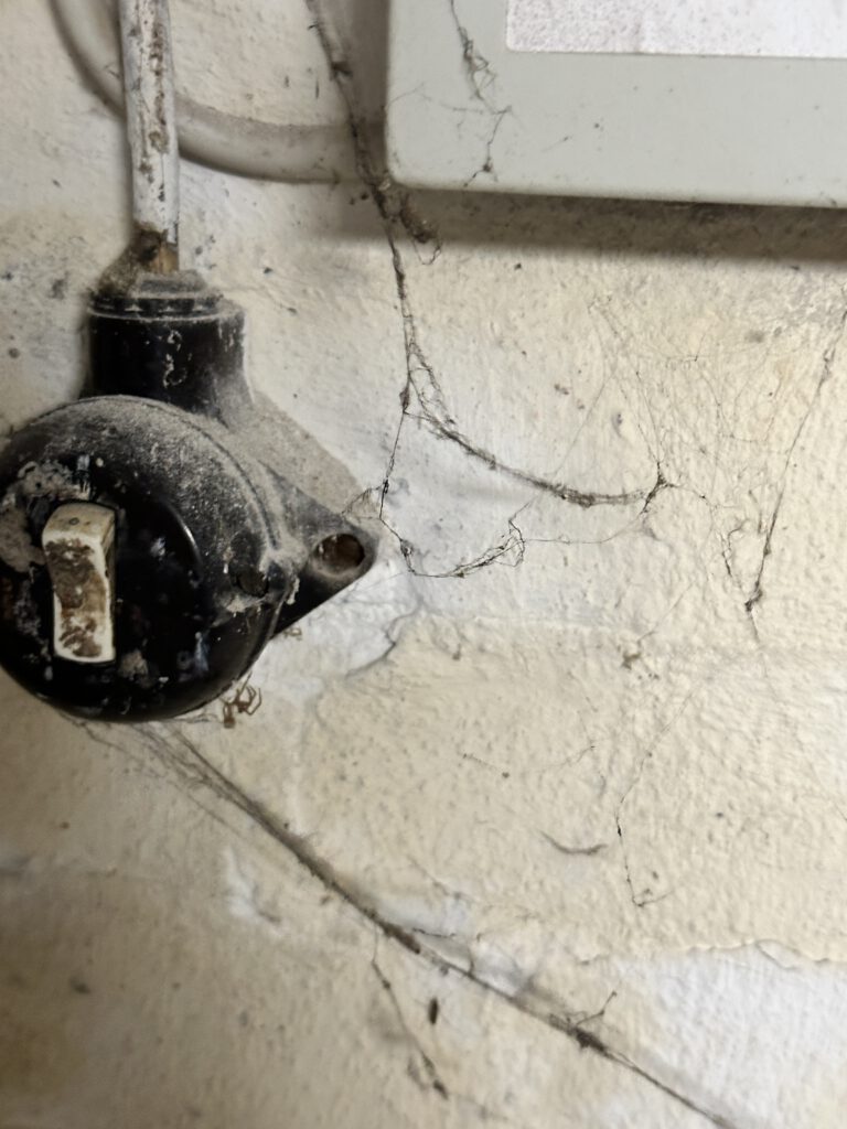 Impressionen (12)